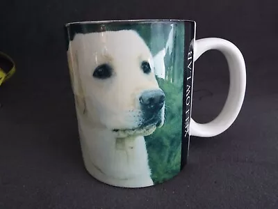 Dog Coffee Mug Golden Yellow  Labrador Retriever Lab 12 Oz 4  • $7