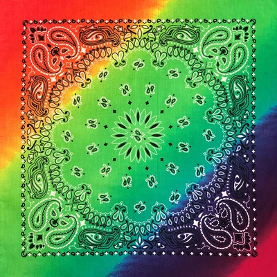 $6.50 • Buy 100% Cotton Rainbow Paisley Bandanas 22 X22   Pride, Adults, Kids, Dogs, Crafts 