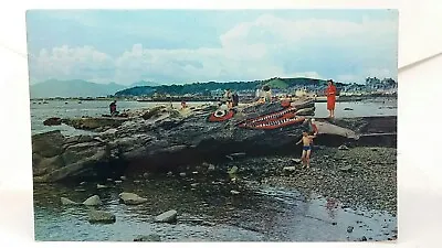 Crocodile Rock Millport Scotland Vintage Postcard 1969 • £5.74