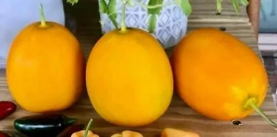 Mango Vine Peach Melon 25 Seeds Organic Melons Early Prolific Heirloom Garden • $5.99