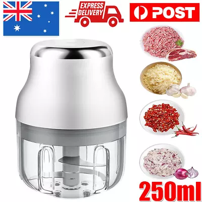 HIGH POWER Electric Garlic Chopper Crusher Food Vegetable Mincer Grinder Blender • $20.92