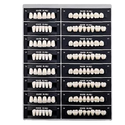 JMU Dental Acrylic Resin Denture False Teeth A1 A2 A3 Full Set Upper & Lower • $26.99