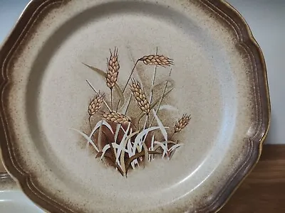 Set Of 3 Mikasa Whole Wheat Granola Dinner Plates Fall Tablescape Beauties!  • $14.99
