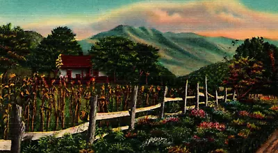 $7.99 • Buy Sharp Top Mountain ~ Great Smoky Mountains National Park VINTAGE Linen Postcard