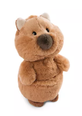 NICI Selection Plush Quokka Quokka-Mola • $21.26