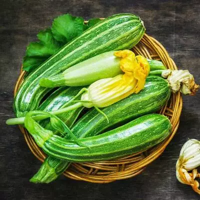Zucchini- Cocozelle 10 Seeds | TSC: Heirloom & OP Seeds Non-GMO Untreated) • $3.49