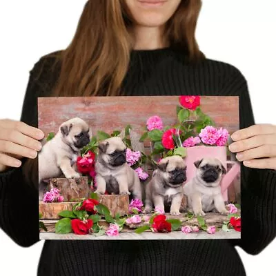 £4.99 • Buy A4 - Pug Dog Puppies With Flowers Poster 29.7X21cm280gsm #15947