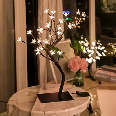 Cherry Blossom Bonsai Tree • $49.99