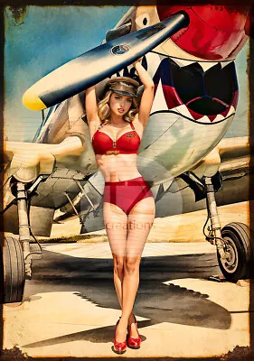 WW2 Sexy Pin-up War Plane Spitfire P-40's P-51 Mustangs Prints Or Metal Tin • $13.68