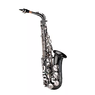 Professional Brass Bend Eb E-flat Alto Saxophone Sax Black Nickel Plating M6L2 • $365.99