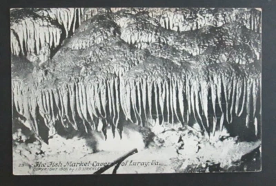$2 • Buy The Fish Market Caverns Of Luray VA Unposted DB Postcard