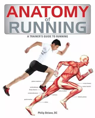 Anatomy Of Running : A Trainer's Guide To Running Paperback Phili • $7.34