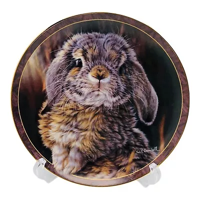 Bunny Tales I'M ALL EARS Collector Plate By Vivi Crandall Bradford Exchange 1997 • $19.60