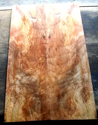 5a Curly Spalted Ambrosia Flame Maple Drop Top .24 Thk Guitar Bass Tonewood 2131 • $89.99