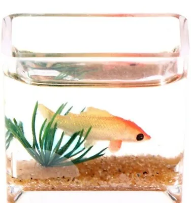 $8.80 • Buy Doll House Accessories 1:12th Miniature - Fish Tank