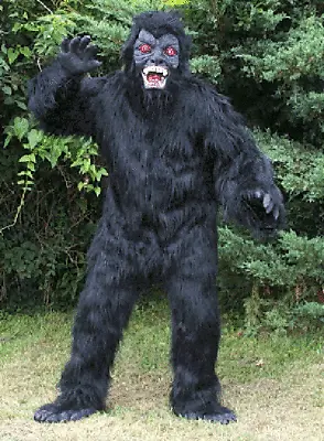 Gorilla Ape Monkey Suit Adult Costume • $199.99