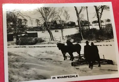 Wharfedale Horse Snow Plough Small Photograph Art Deco  Era Trade Card  7/5 Cm . • £9.99