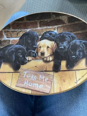 £10 • Buy Take Me Home Labradors By Nigel Hemming