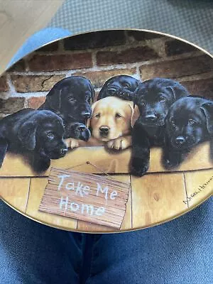 £10 • Buy Take Me Home Labradors By Nigel Hemming