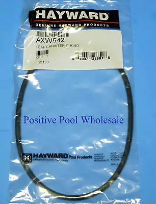Hayward W530 W560 Swimming Pool Leaf Trap Canister Lid O-Ring AXW542 • $12.99