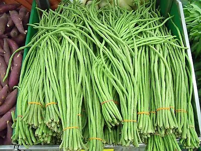 Asian Long Bean Seeds For Planting (30 Seeds) - Fast Growing Variety Sweet Tende • $8.29