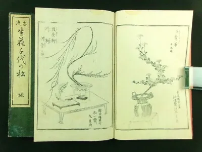 IKEBANA Japanese Woodblock Print 2 Books Flower Arrangement Edo-Meiji B576 • $40