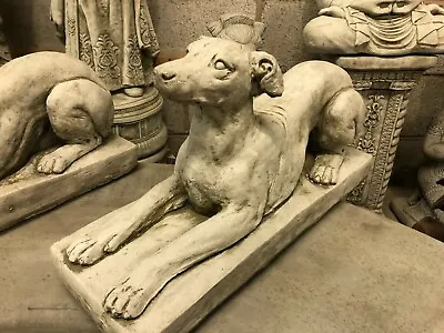 £60 • Buy Greyhound Whippet Concrete Stone Garden Statue Ornament Sculpture On Base Dog