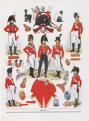 Vintage British Uniform Print 1802 Infantry Of The Line Officers • £27