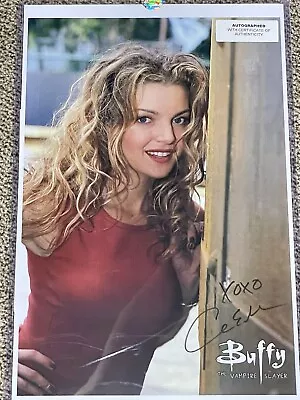 Buffy The Vampire Slayer Glory Clare Kramer Autograph 11x17 Photo COA • $18.99