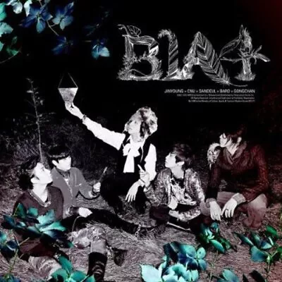 B1A4 - In The Wind - CD - Import - **Excellent Condition** • $25.49