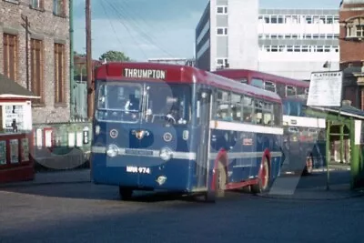 Bus Photo - South Notts MRR974 Leyland Royal Tiger • £1.19