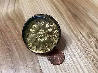 Vintage Horse Domed Glass Bridle Rosette/Concho/Button • $50