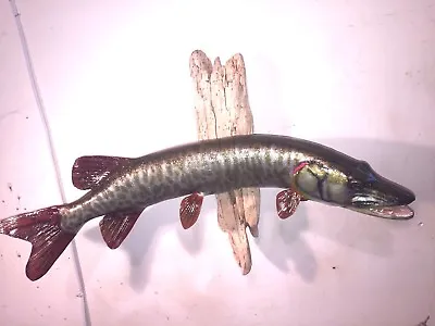 30  MUSKIE FISH  -   Unpainted Fiberglass Reproduction Blank • $80