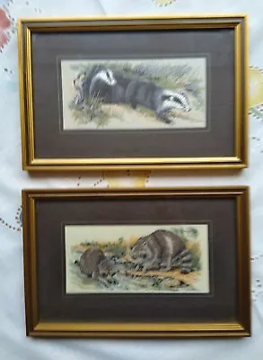 2 Woven Silk Pictures Badger & Raccoon Wildlife Serie J & J Cash Ltd  England • £18.50