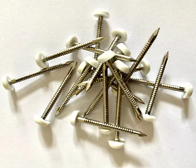 £9.99 • Buy 250 X 30mm White UPVC Plastic Headed Pins Nails Poly Top A4 Stainless Steel