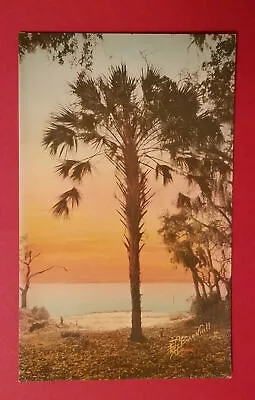 E G Barnhill Florida Sunset FL Orig NOS Color Art Water Coast Ocean Palm 8 X 5 • $4.75