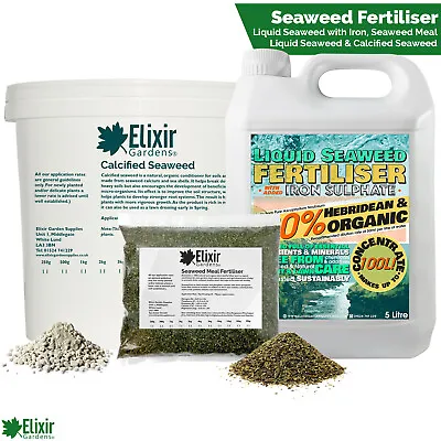 Organic Seaweed Fertiliser & Plant Feed | Liquid Concentrate Calcified & Meal • £6.99
