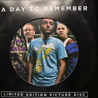 A Day To Remember – Homesick - Limited Ediiton Picture Disc Vinyl Lp - Vg+ - X • $160