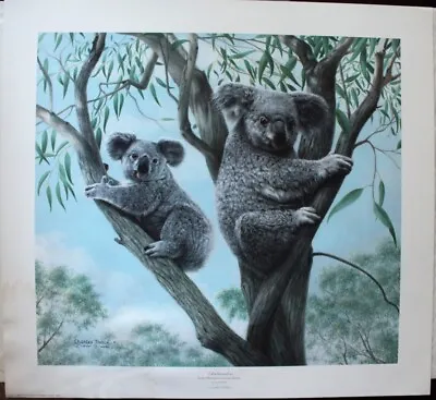 CHARLES FRACE 'Ambassadors' Signed & Numbered 2247/3000 Koala Art Print! • $14.95