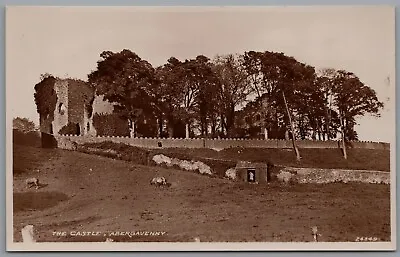 The Castle Abergavenny Monmouthshire Wales Vintage Real Photo Postcard • £6