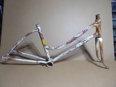 Vintage Schwinn Bicycle Frame Set - Girls 1971 (CG) Stardust - Rgh • $29.99