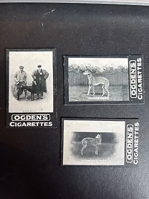 3 X OGDENS TABS - NOTABLE COURSING DOGS - 1901 • £6