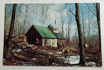 Maple Sugaring In Vermont. Postcard (U1) • $5.63