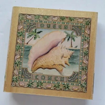 Queen Conch Seashell Wood Mounted Rubber Stamp • $8
