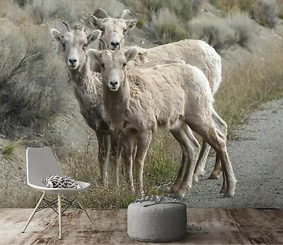 $329.99 • Buy 3D Bighorn Sheep ZHU416 Animal Wallpaper Wall Mural Removable Self-adhesive Zoe