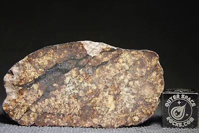 NWA 13475 L5 Melt Breccia Chondrite Meteorite 35.8 Gram End Cut • $7.50