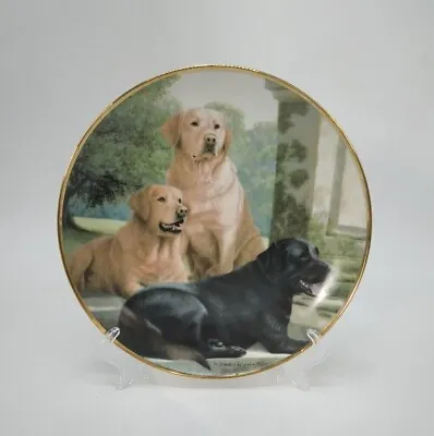 £6 • Buy Franklin Mint Collector Plate Labrador Limited Ed Nigel Hemming VARIOUS DESIGNS