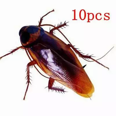 10Pack Prank Funny Magic Trick Joke Special Lifelike Fake Cockroach Roach Toy • £3.32