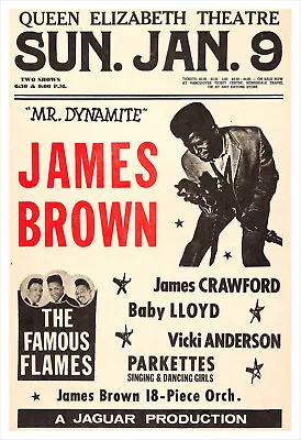 James Brown Concert Poster Print • $21.50