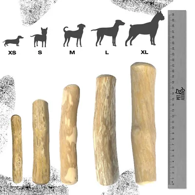 $35.99 • Buy Natural Dental Dog Chews Coffee Wood Chews 5 Sizes PETADD PETADD